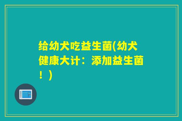 给幼犬吃益生菌(幼犬健康大计：添加益生菌！)