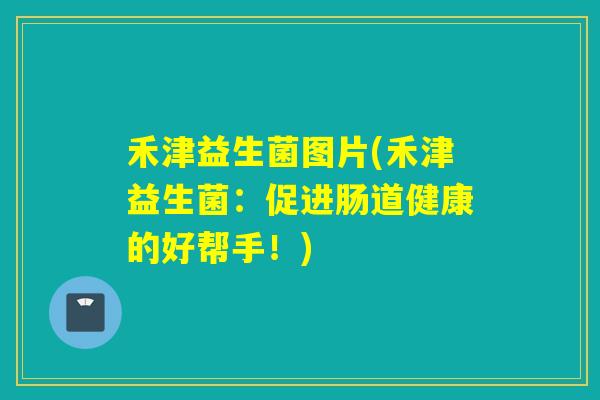 禾津益生菌图片(禾津益生菌：促进肠道健康的好帮手！)