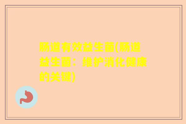 肠道有效益生菌(肠道益生菌：维护消化健康的关键)