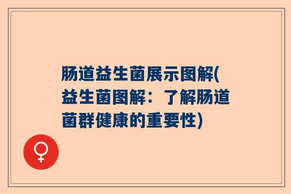 肠道益生菌展示图解(益生菌图解：了解肠道菌群健康的重要性)