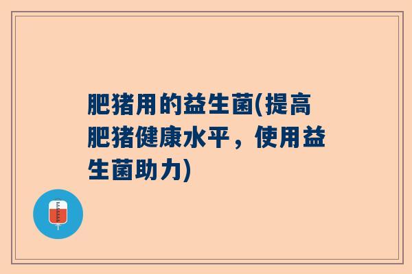 肥猪用的益生菌(提高肥猪健康水平，使用益生菌助力)