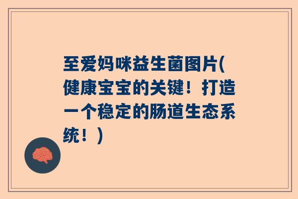 至爱妈咪益生菌图片(健康宝宝的关键！打造一个稳定的肠道生态系统！)