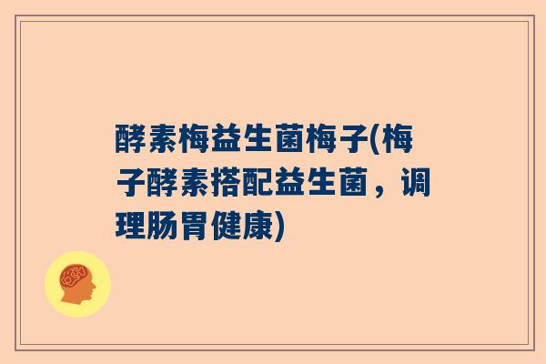 酵素梅益生菌梅子(梅子酵素搭配益生菌，调理肠胃健康)