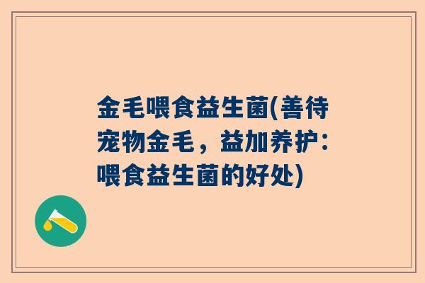 金毛喂食益生菌(善待宠物金毛，益加养护：喂食益生菌的好处)
