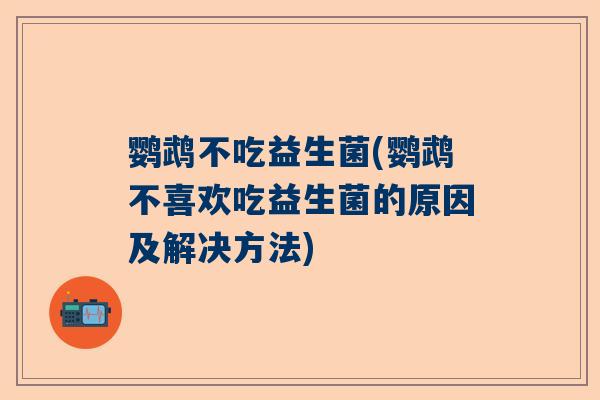 鹦鹉不吃益生菌(鹦鹉不喜欢吃益生菌的原因及解决方法)
