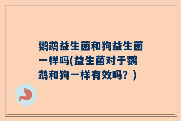 鹦鹉益生菌和狗益生菌一样吗(益生菌对于鹦鹉和狗一样有效吗？)