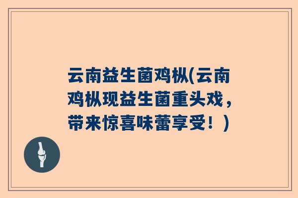 云南益生菌鸡枞(云南鸡枞现益生菌重头戏，带来惊喜味蕾享受！)