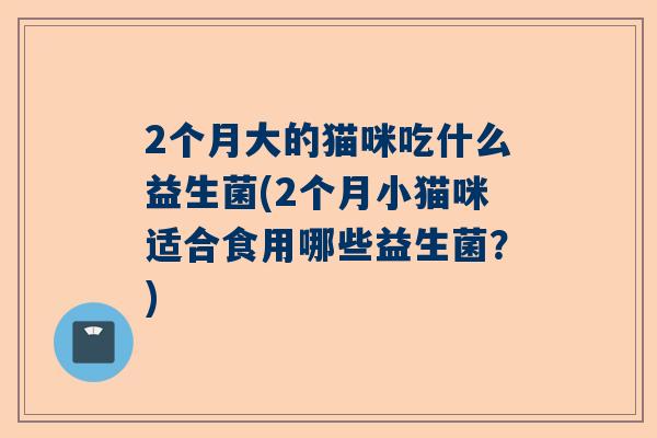 2个月大的猫咪吃什么益生菌(2个月小猫咪适合食用哪些益生菌？)