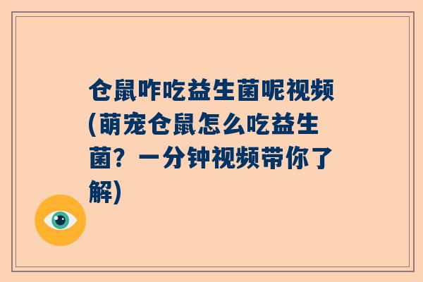 仓鼠咋吃益生菌呢视频(萌宠仓鼠怎么吃益生菌？一分钟视频带你了解)