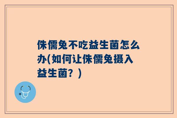 侏儒兔不吃益生菌怎么办(如何让侏儒兔摄入益生菌？)
