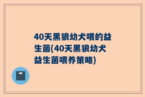 40天黑狼幼犬喂的益生菌(40天黑狼幼犬益生菌喂养策略)
