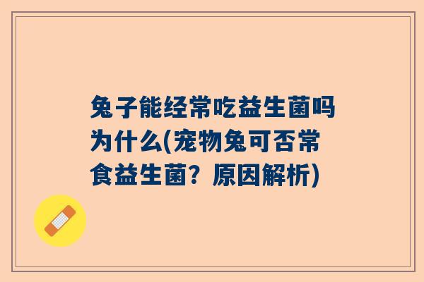 兔子能经常吃益生菌吗为什么(宠物兔可否常食益生菌？原因解析)
