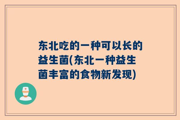 东北吃的一种可以长的益生菌(东北一种益生菌丰富的食物新发现)