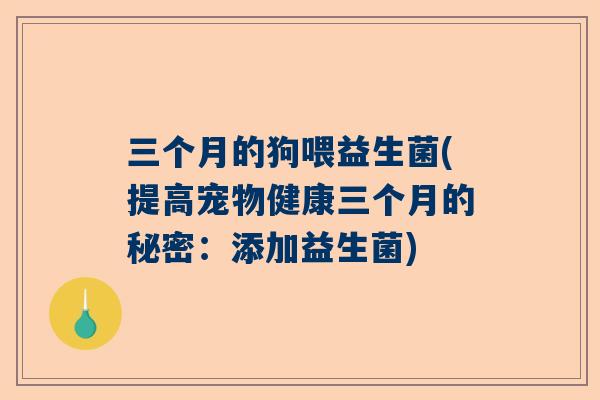 三个月的狗喂益生菌(提高宠物健康三个月的秘密：添加益生菌)