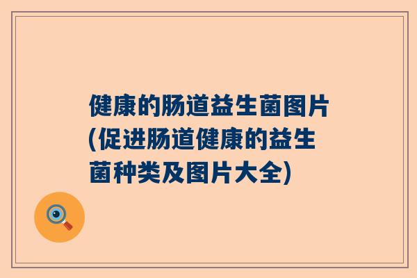 健康的肠道益生菌图片(促进肠道健康的益生菌种类及图片大全)