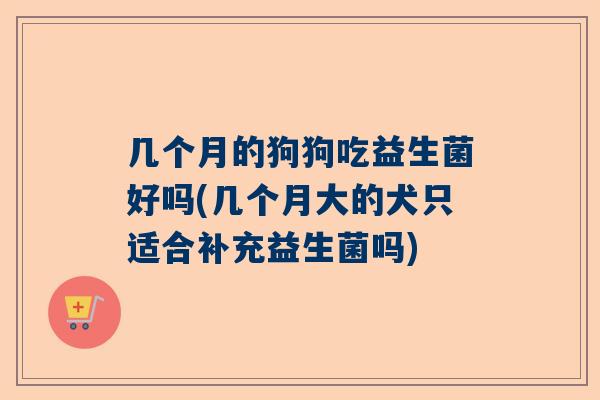 几个月的狗狗吃益生菌好吗(几个月大的犬只适合补充益生菌吗)
