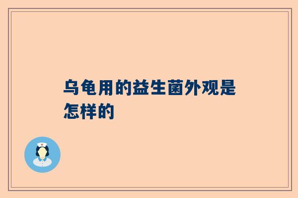 乌龟用的益生菌外观是怎样的