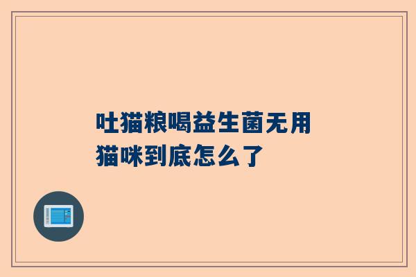 吐猫粮喝益生菌无用 猫咪到底怎么了