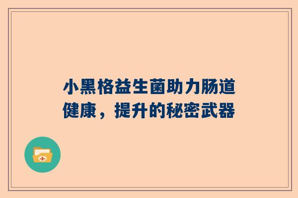 小黑格益生菌助力肠道健康，提升的秘密武器