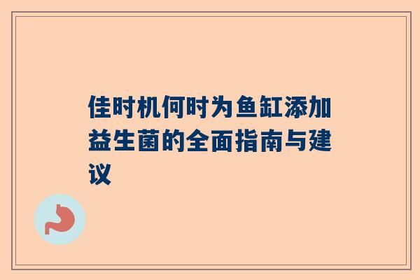佳时机何时为鱼缸添加益生菌的全面指南与建议