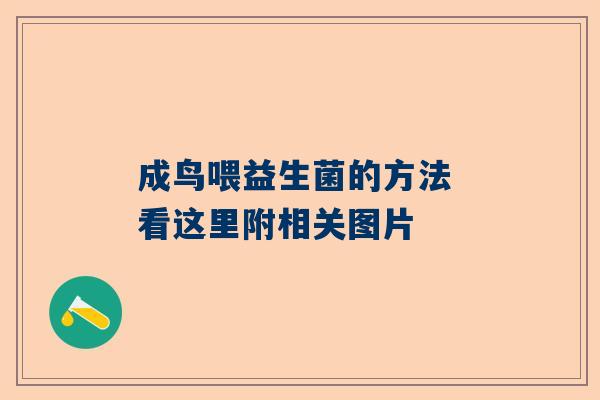 成鸟喂益生菌的方法 看这里附相关图片