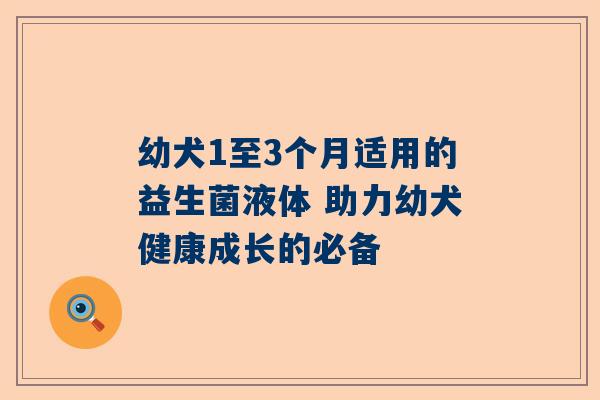 幼犬1至3个月适用的益生菌液体 助力幼犬健康成长的必备