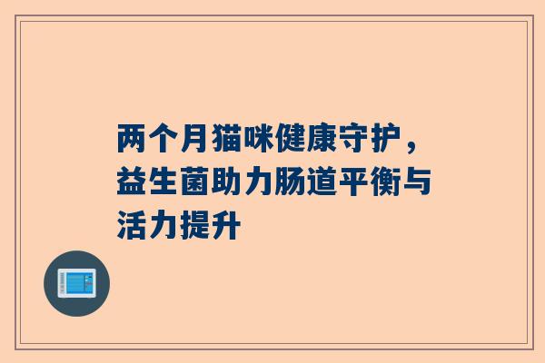 两个月猫咪健康守护，益生菌助力肠道平衡与活力提升