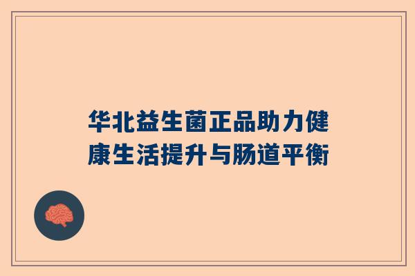 华北益生菌正品助力健康生活提升与肠道平衡