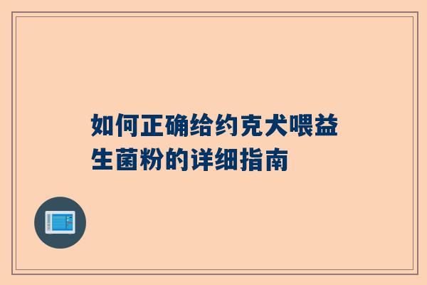 如何正确给约克犬喂益生菌粉的详细指南