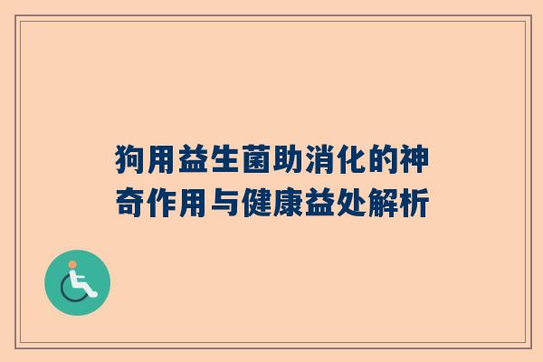 狗用益生菌助消化的神奇作用与健康益处解析