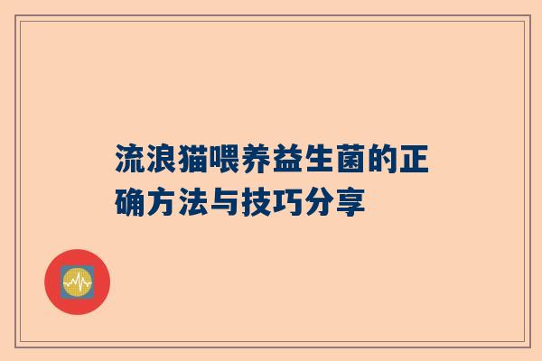 流浪猫喂养益生菌的正确方法与技巧分享