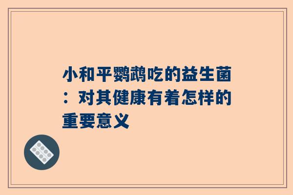 小和平鹦鹉吃的益生菌：对其健康有着怎样的重要意义