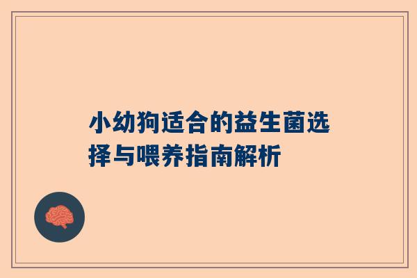 小幼狗适合的益生菌选择与喂养指南解析