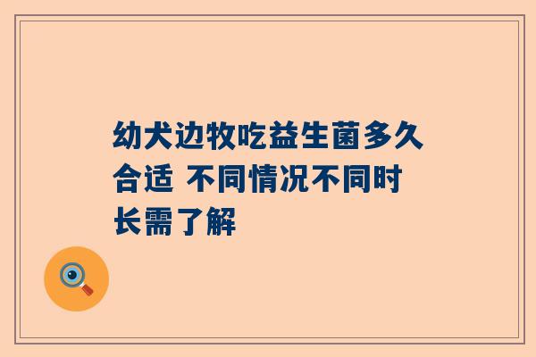 幼犬边牧吃益生菌多久合适 不同情况不同时长需了解