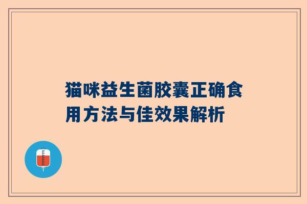 猫咪益生菌胶囊正确食用方法与佳效果解析