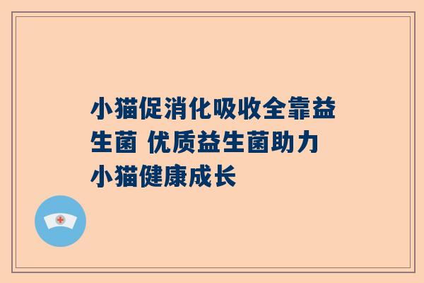 小猫促消化吸收全靠益生菌 优质益生菌助力小猫健康成长