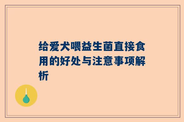 给爱犬喂益生菌直接食用的好处与注意事项解析