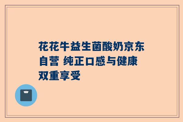 花花牛益生菌酸奶京东自营 纯正口感与健康双重享受