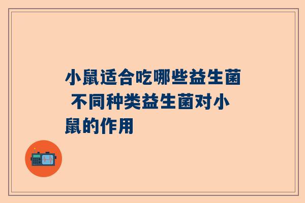 小鼠适合吃哪些益生菌 不同种类益生菌对小鼠的作用