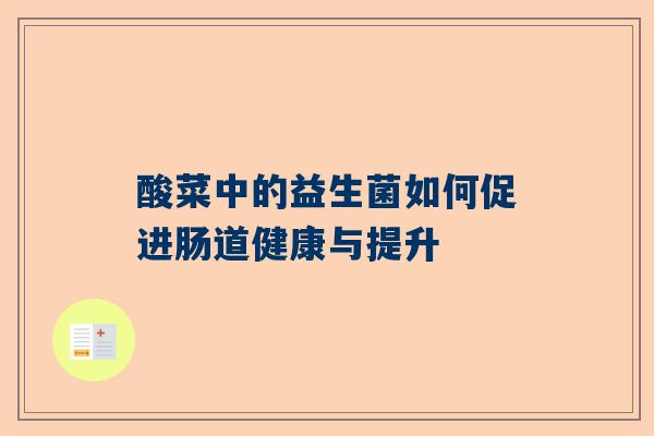 酸菜中的益生菌如何促进肠道健康与提升