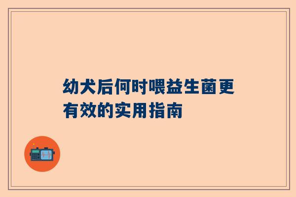 幼犬后何时喂益生菌更有效的实用指南