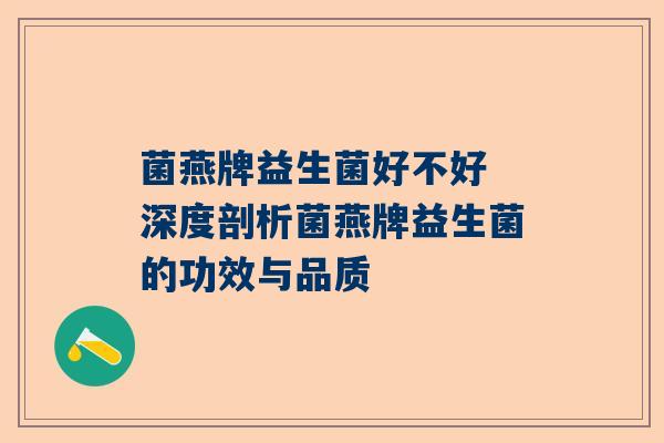 菌燕牌益生菌好不好 深度剖析菌燕牌益生菌的功效与品质