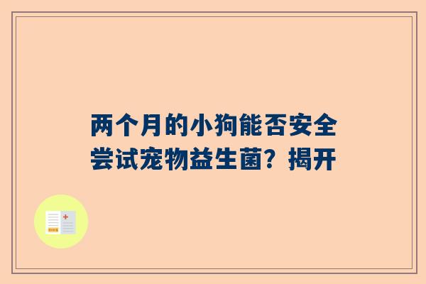 两个月的小狗能否安全尝试宠物益生菌？揭开
