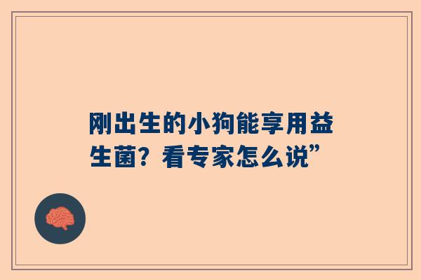 刚出生的小狗能享用益生菌？看专家怎么说”