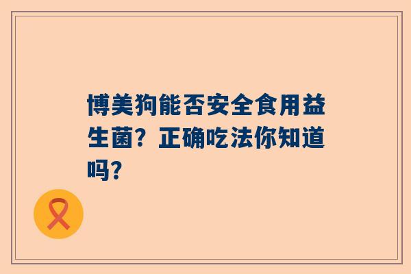 博美狗能否安全食用益生菌？正确吃法你知道吗？