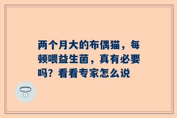 两个月大的布偶猫，每顿喂益生菌，真有必要吗？看看专家怎么说