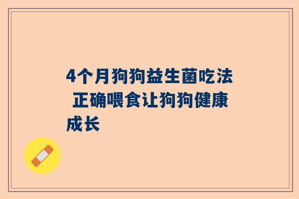 4个月狗狗益生菌吃法 正确喂食让狗狗健康成长