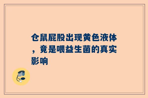 仓鼠屁股出现黄色液体，竟是喂益生菌的真实影响