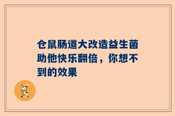 仓鼠肠道大改造益生菌助他快乐翻倍，你想不到的效果