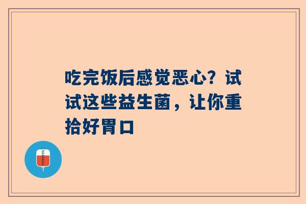 吃完饭后感觉恶心？试试这些益生菌，让你重拾好胃口